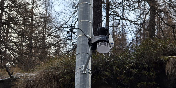 Valprato Soana - fraz. Campiglia (TO) Politecnico Torino 1470 m img